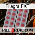 Filagra FXT 19